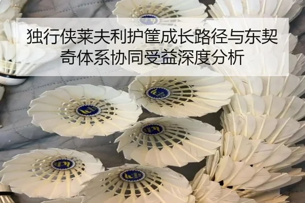 独行侠莱夫利护筐成长路径与东契奇体系协同受益深度分析